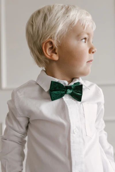 Mini Velvet Bow Tie | Ivy City Co