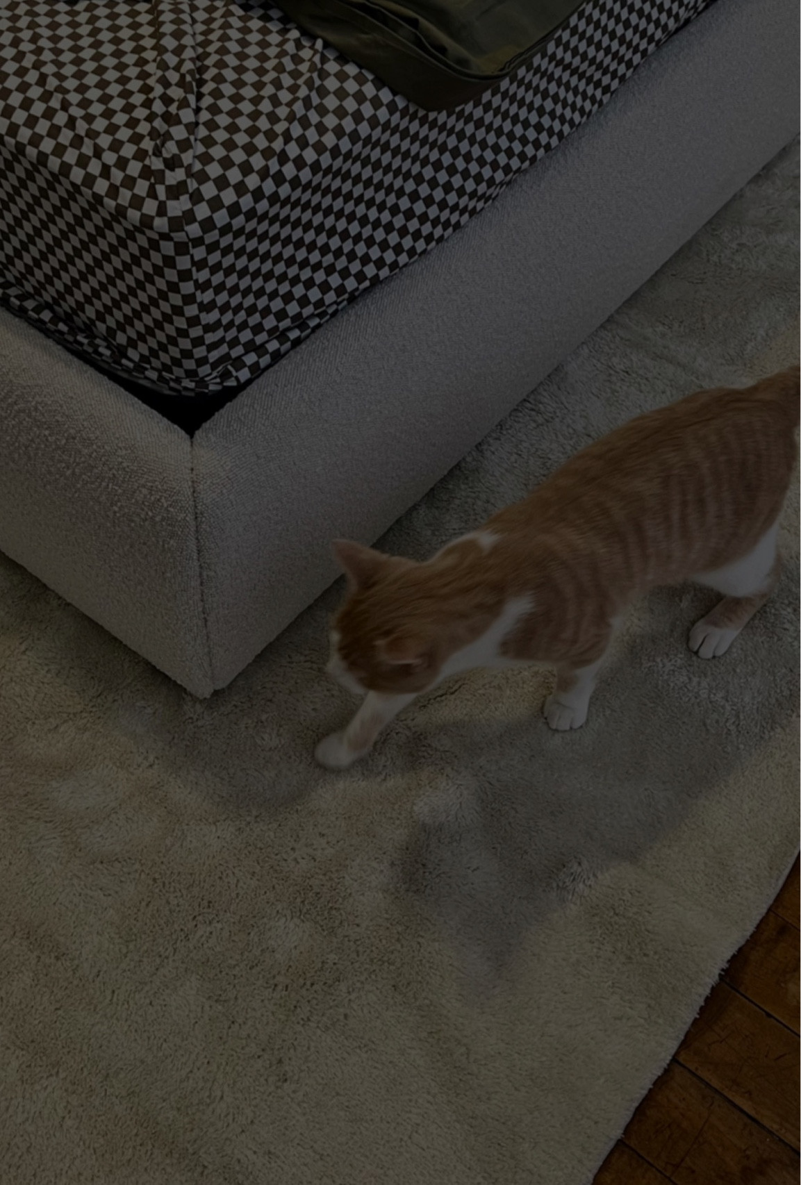 Bedroom rug still on major sale after Black Friday 👏  

#LTKhome #LTKsalealert