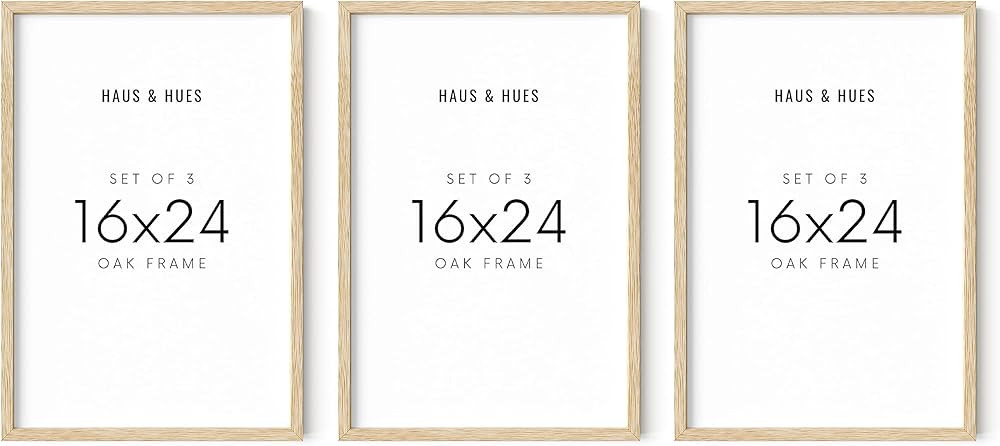 HAUS AND HUES Picture Frames 16x24 - Set of 3 16x24 Frame 3 Pack, 16x24 Picture Frames for Wall, ... | Amazon (US)