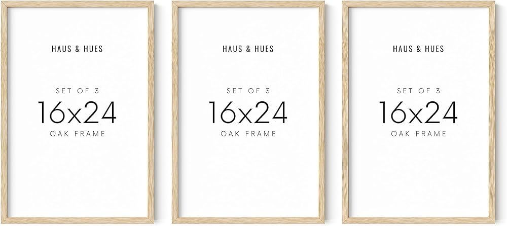 HAUS AND HUES Picture Frames 16x24 - Set of 3 16x24 Frame 3 Pack, 16x24 Picture Frames for Wall, ... | Amazon (US)
