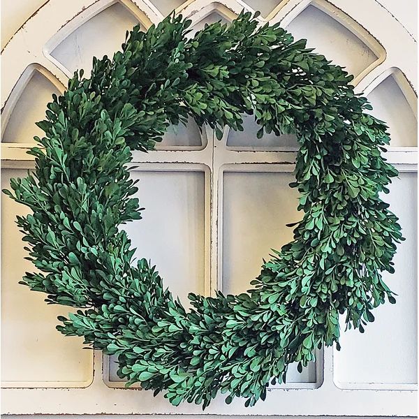 Boxwood Polyethylene Wreath | Wayfair North America