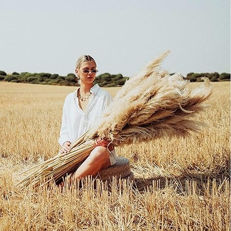 Pampas Grass Decor Tall 46 Inches,8 Stems Tall Pampas Grass for Floor Vase,Large Natural Dried Po... | Amazon (US)