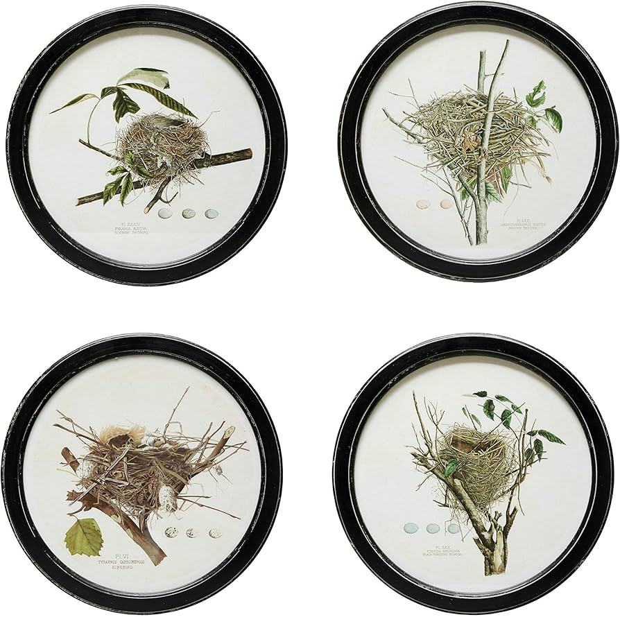 Creative Co-Op Round Framed Decor with Vintage Reproduction Nest Print, 4 Styles Wall Art, Multi | Amazon (US)