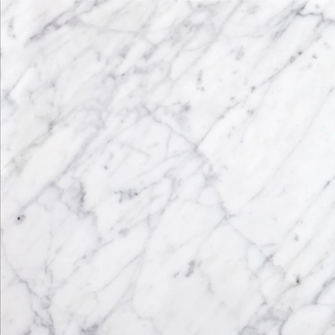 Carrara 24" x 24" Marble Wall & Floor Subway Tile | Wayfair North America