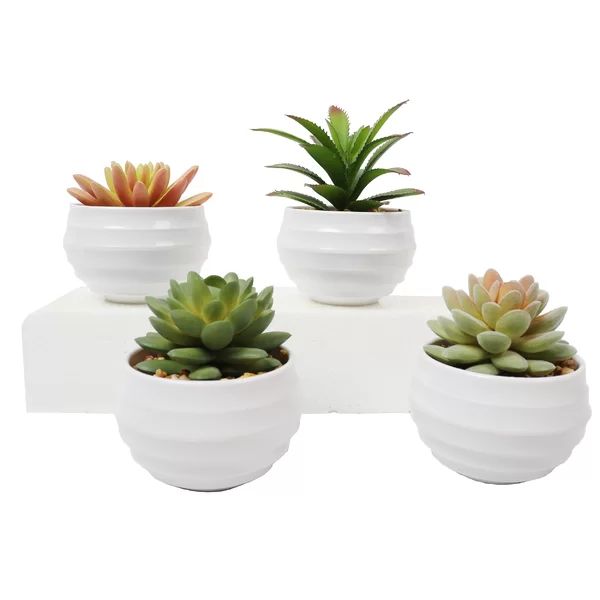 4 Artificial Assorted Cactus Succulent in Pot Set | Wayfair North America