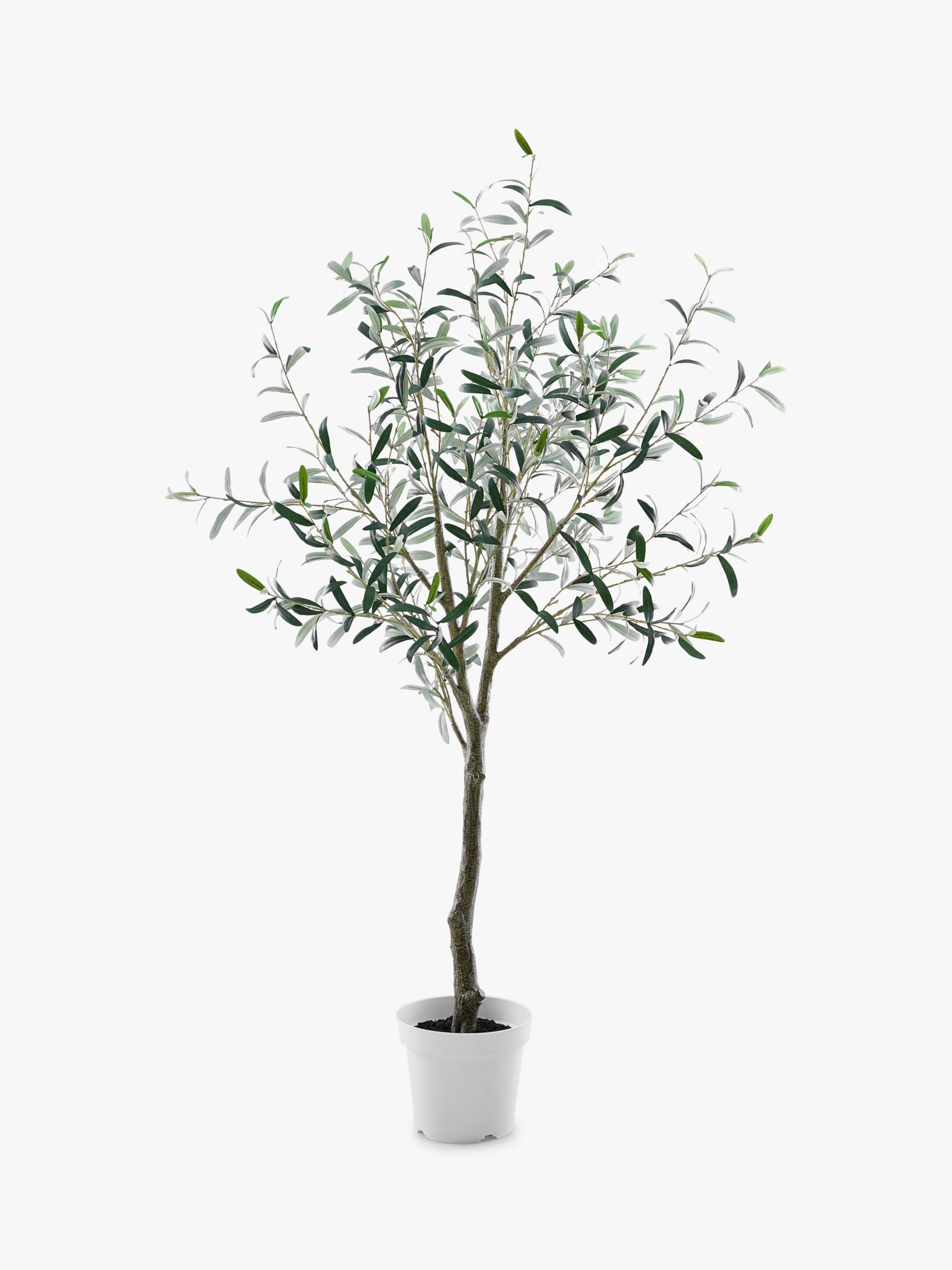 west elm Artificial Olive Tree | John Lewis (UK)