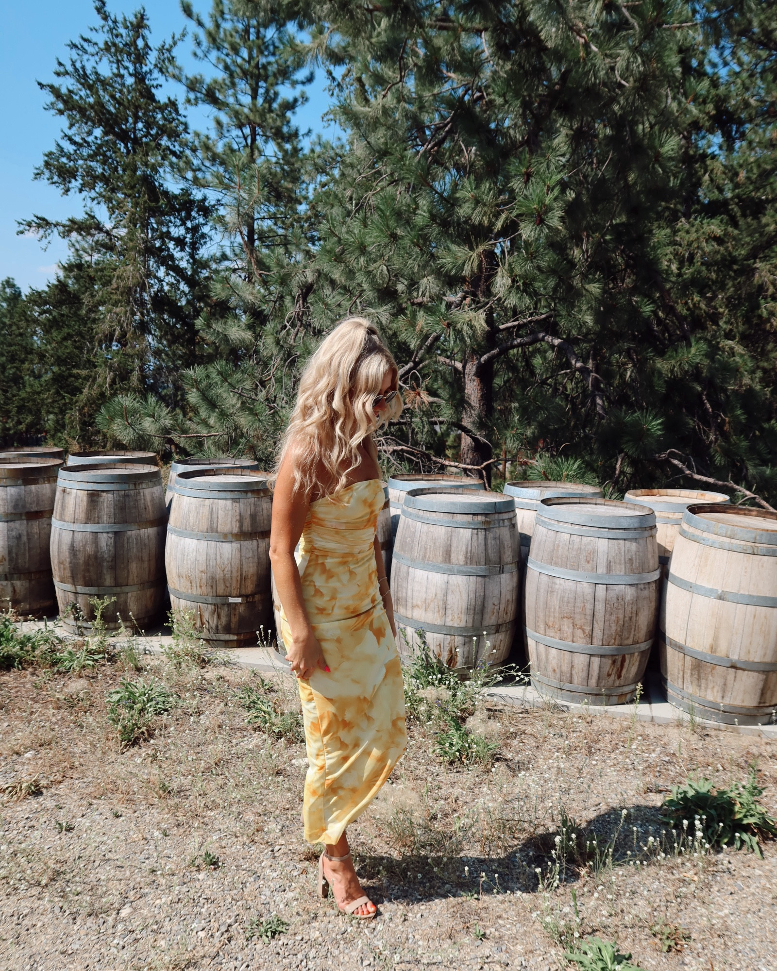 Wedding Guest Dress
Size XS

#LTKwedding