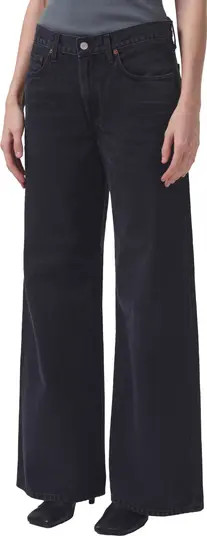 AGOLDE Clara High Waist Wide Leg Jeans | Nordstrom | Nordstrom