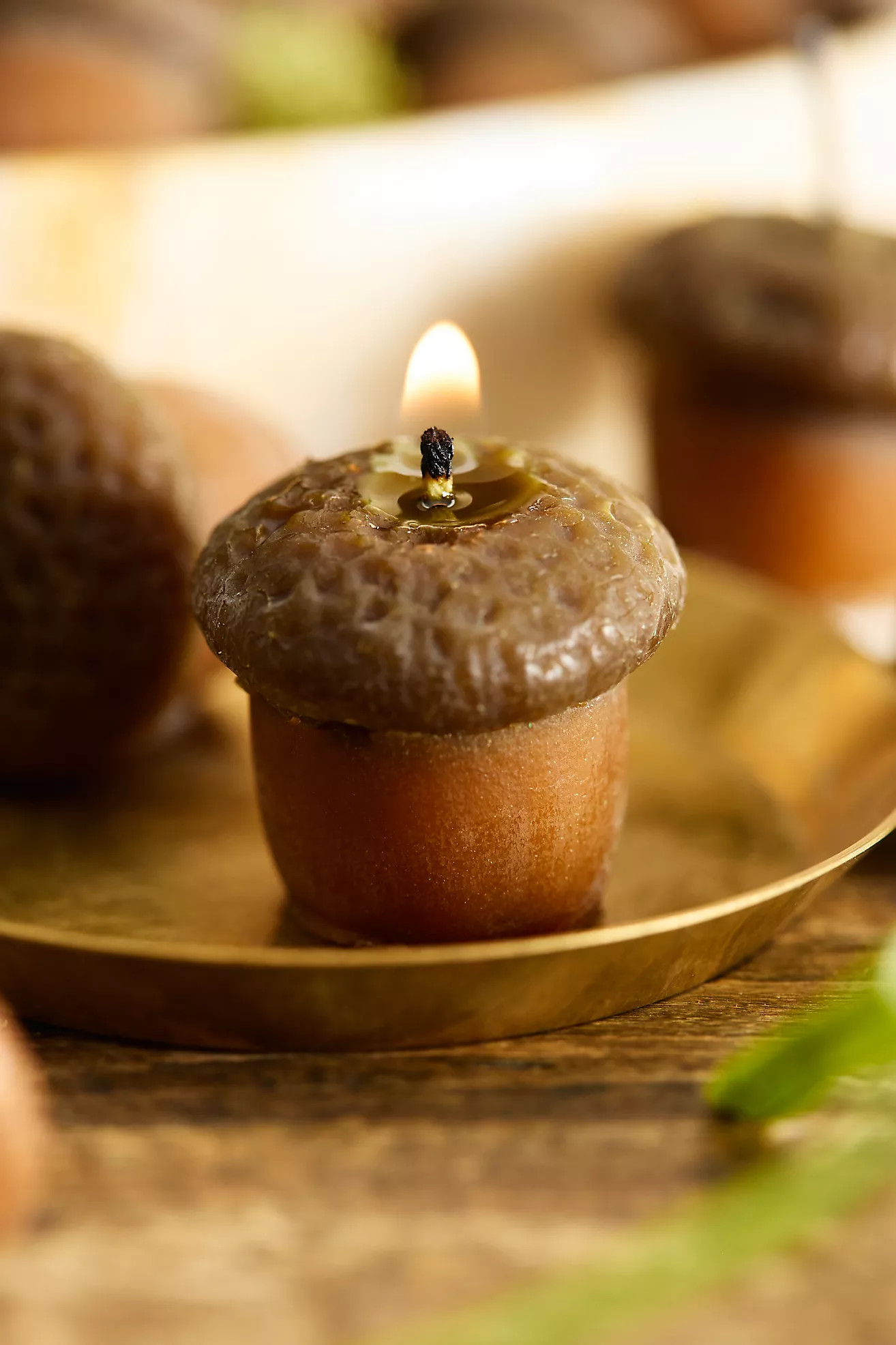 Happy Organics Acorn Beeswax Candles, Set of 10 | Anthropologie (US)