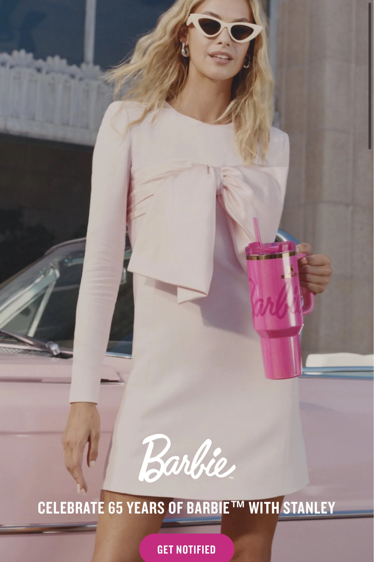 Just when I told myself I don’t need another Stanley. They’re celebrating 65 years with a Barbie collab! So many choices! Click to sign up to be notified when they’re released!!! 💗🙌⏰

#LTKFitness #LTKFamily #LTKHome