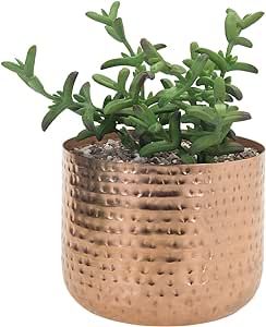 MyGift 6 Inch Copper Tone Metal Plant Pot with Hammered Design, Decorative Small Succulent Plante... | Amazon (US)