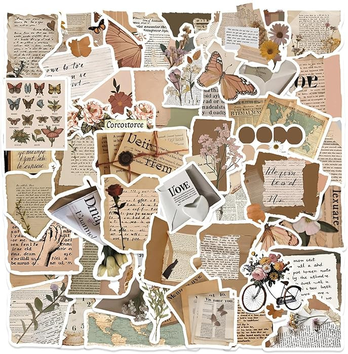 100Pcs Vintage Aesthetic Stickers, Vinyl Waterproof Decal,Perfect for Kids,Teens, Kindle,Journali... | Amazon (US)