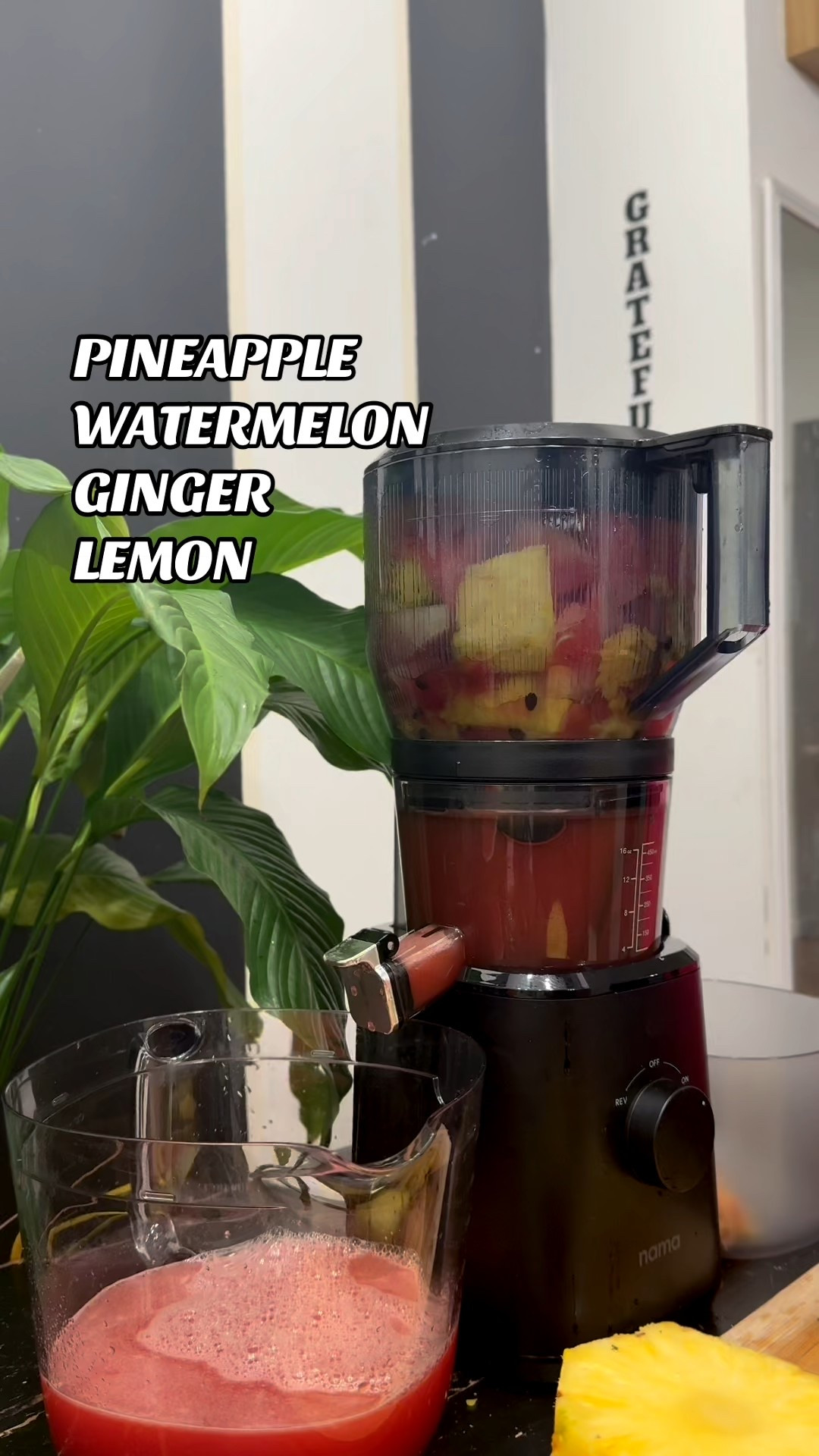 I use the Nama J2 Cold pressed juicer to make fresh juices every week! 
Scroll to shop the juicer on Amazon. 

#LTKHome #LTKOver40 #LTKSeasonal