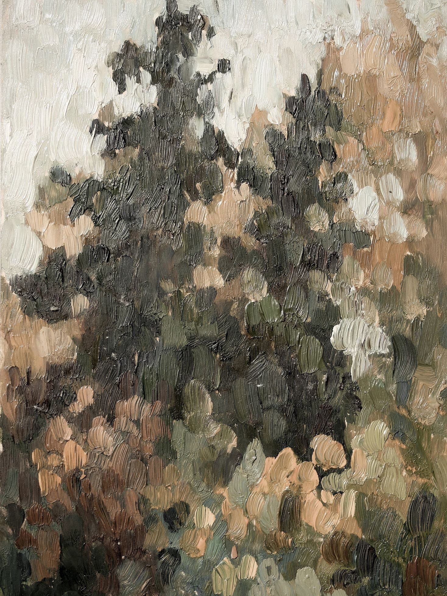 Amber Woods | Collection Prints