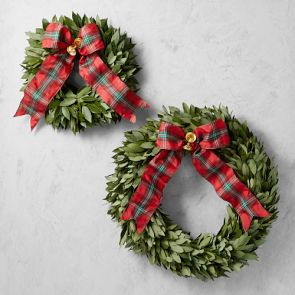 Bay Leaf Live Wreath with Tartan Ribbon | Williams-Sonoma