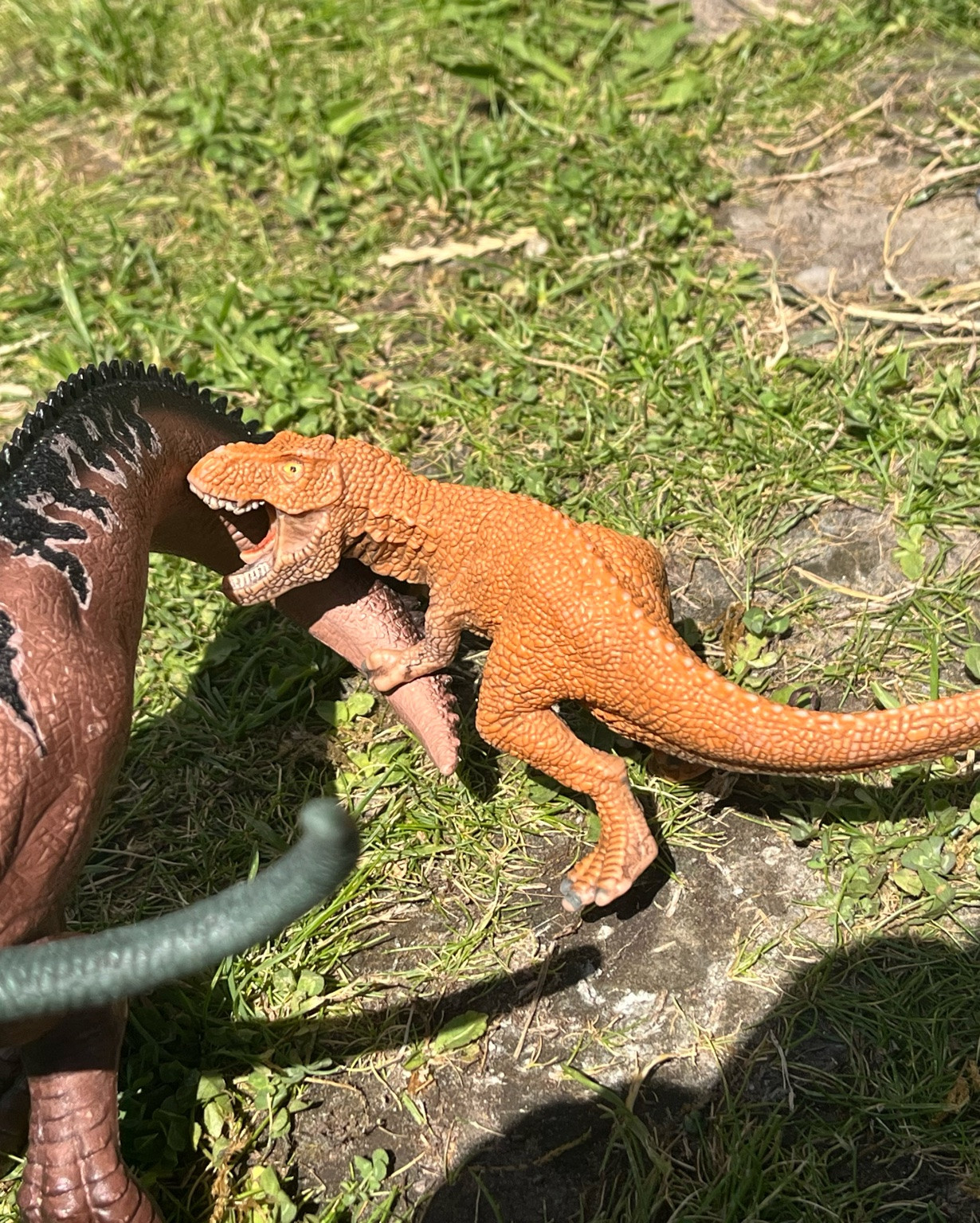One thing I'll happily invest in is quality toys. 🦖

These Schleich dinosaurs have been played with for years and still look amazing. They're sturdy, realistic, and have inspired countless hours of imaginative play.

My oldest son created these scenes in our garden and even photographed them himself. 📸🤍 Right now it's dinosaurs, but next month it'll probably be Eldrador creatures or the farm animals. That's why I love toys that grow with their imagination.

#LTKcanada #LTKsummer #LTKkids