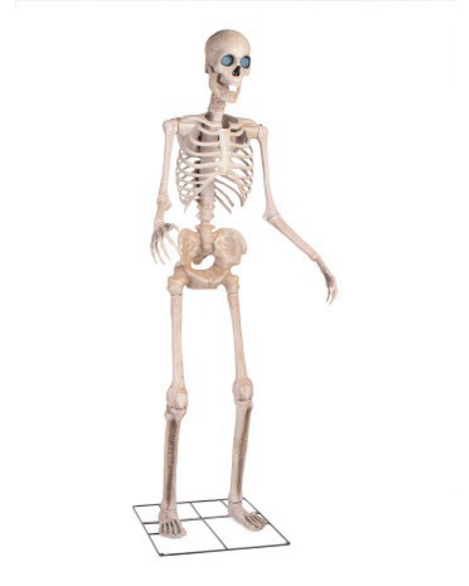 TJ Maxx | Halloween Decor | Skeleton | Standing Skeleton Decor | Large Skeleton | Halloween 🎃 

#LTKSeasonal