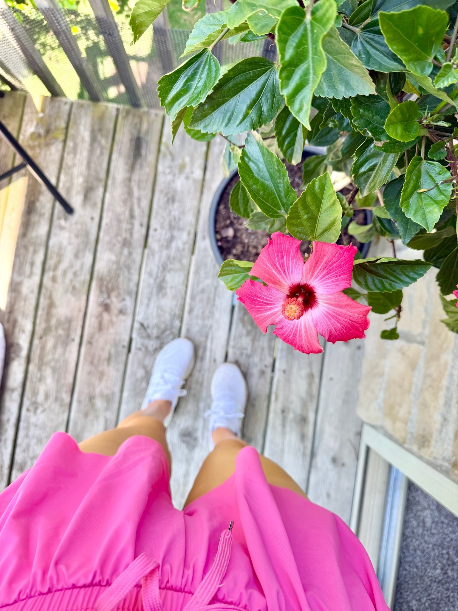 Women’s Summer Outfit - Teenage/College Girl Fashion

Pink flowy shorts, white sneakers, athletic sneakers, summer outfit ideas, college girl outfits, teen girl outfit, athletic outfit, athleisure outfit, trendy outfit, preppy outfit, women’s fashion, Amazon fashion finds