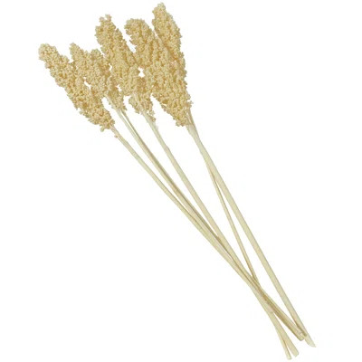 Natural Dried Plant Floral And Botanical Artificial Foliage | Wayfair North America