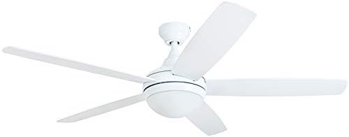 Prominence Home 80094-01 Ashby Ceiling Fan with Remote Control and Dimmable Integrated LED Light ... | Amazon (US)