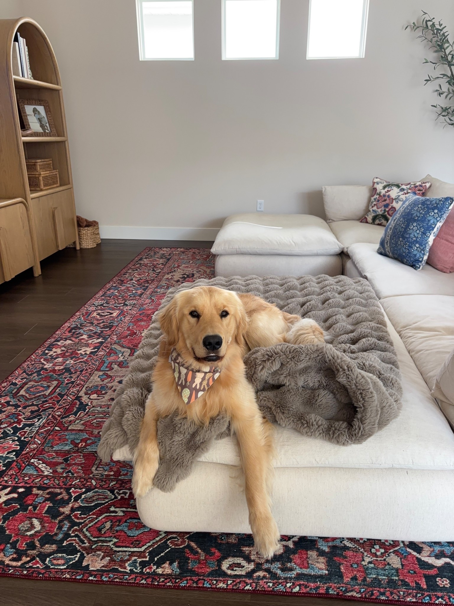 #ad #Etsy #EtsyCreatorCo @etsy