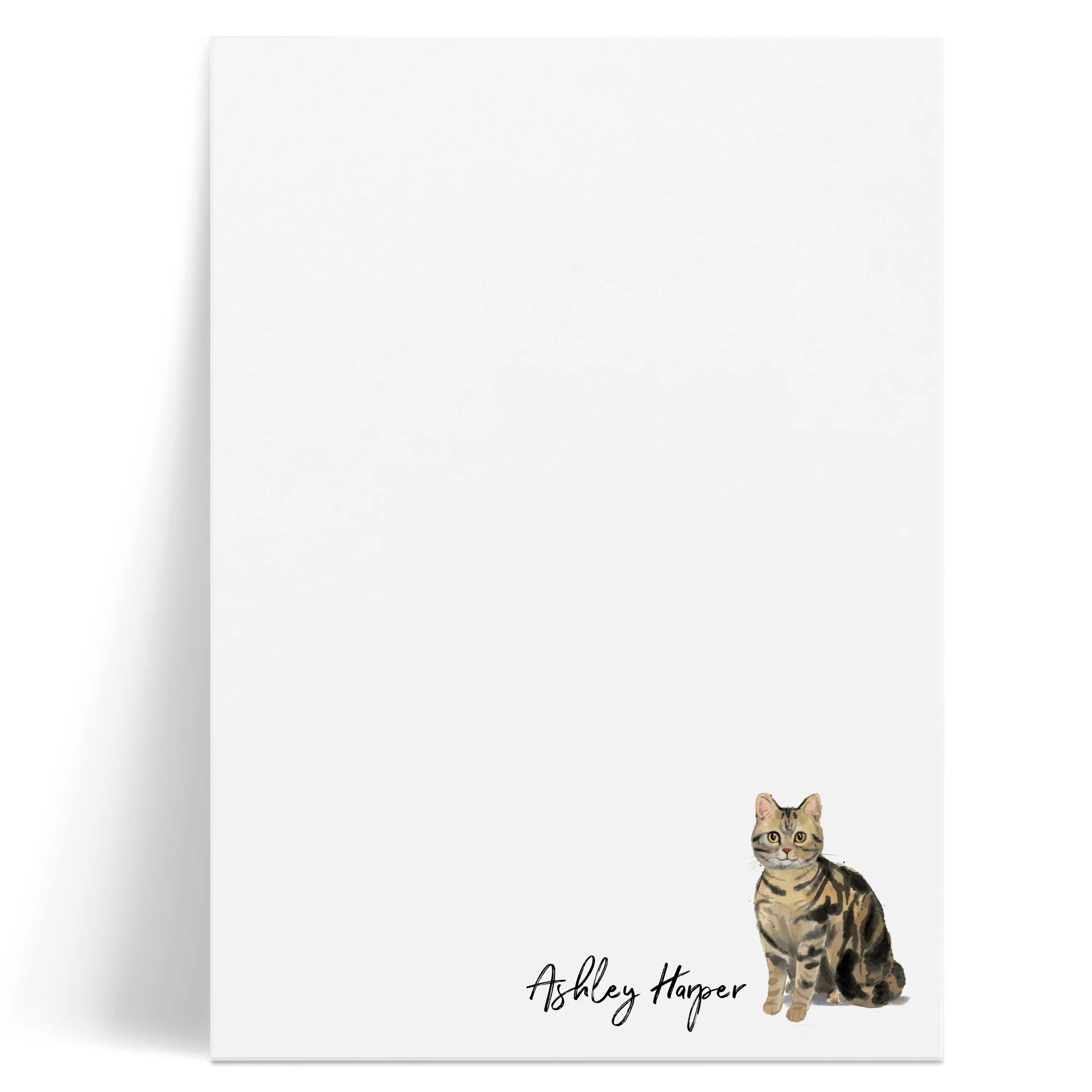 Cats: Notepad | Curio Press