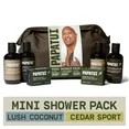 Papatui Holiday Gift Set, Men's Care Mini Shower Pack, Mini Shampoo Conditioner, Body Wash, Bar S... | Walmart (US)