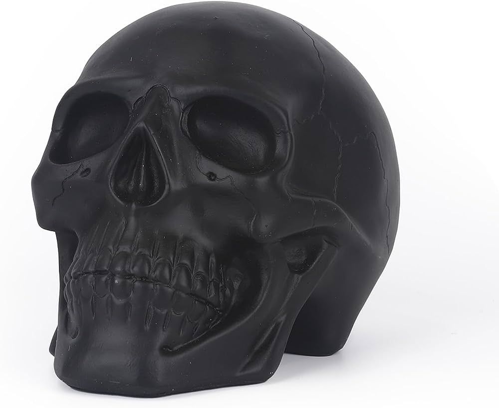 DN DECONATION Black Skull Decor, Artificial Skull Statue, Skeleton Head for Halloween Decor, Skul... | Amazon (US)