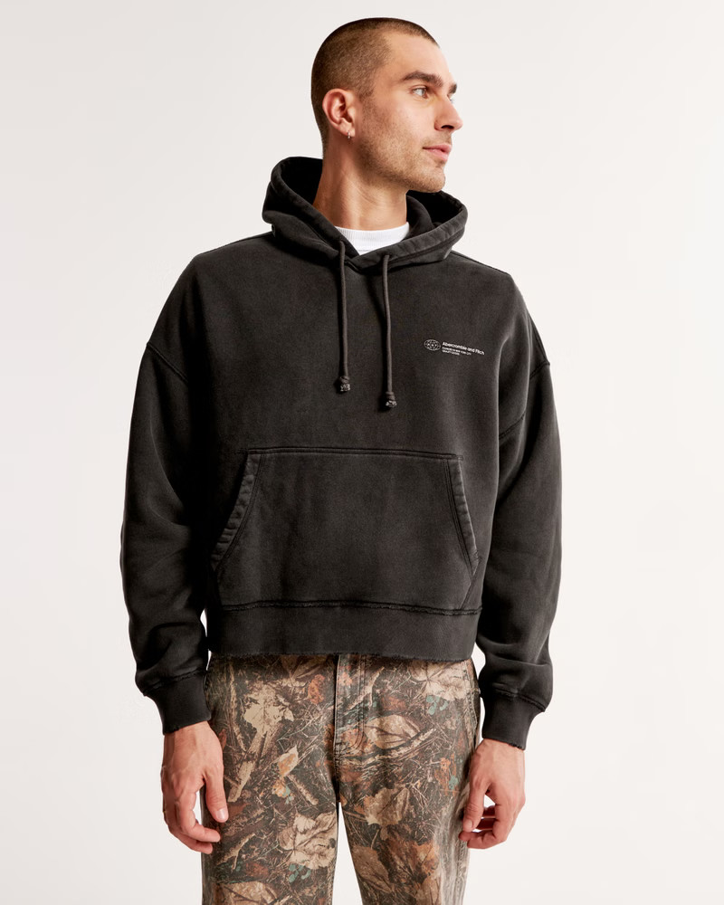 Logo Cropped Popover Hoodie | Abercrombie & Fitch (US)