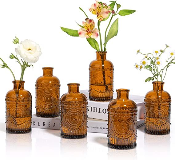 ComSaf Glass Bud Vases Set of 6, Small Clear Bud Vases in Bulk, Mini Vintage Decorative Bottles, ... | Amazon (US)