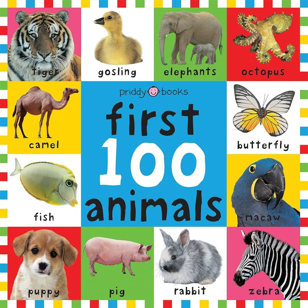 First 100 Animals (Bright Baby First 100) | Amazon (US)