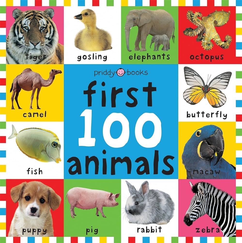 First 100 Animals (Bright Baby First 100) | Amazon (US)