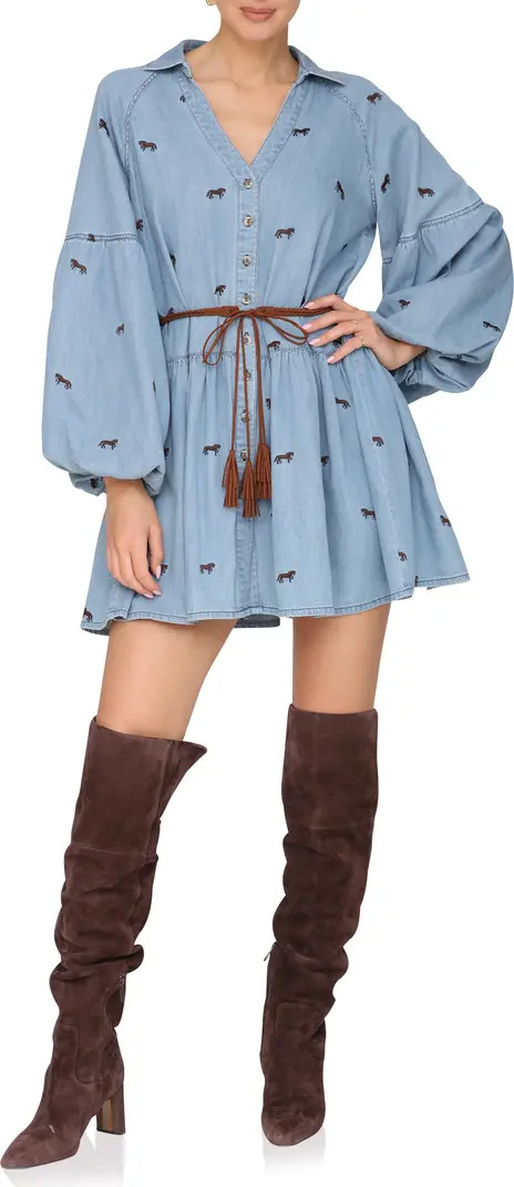 Tie Waist Long Sleeve Chambray Babydoll Dress | Nordstrom