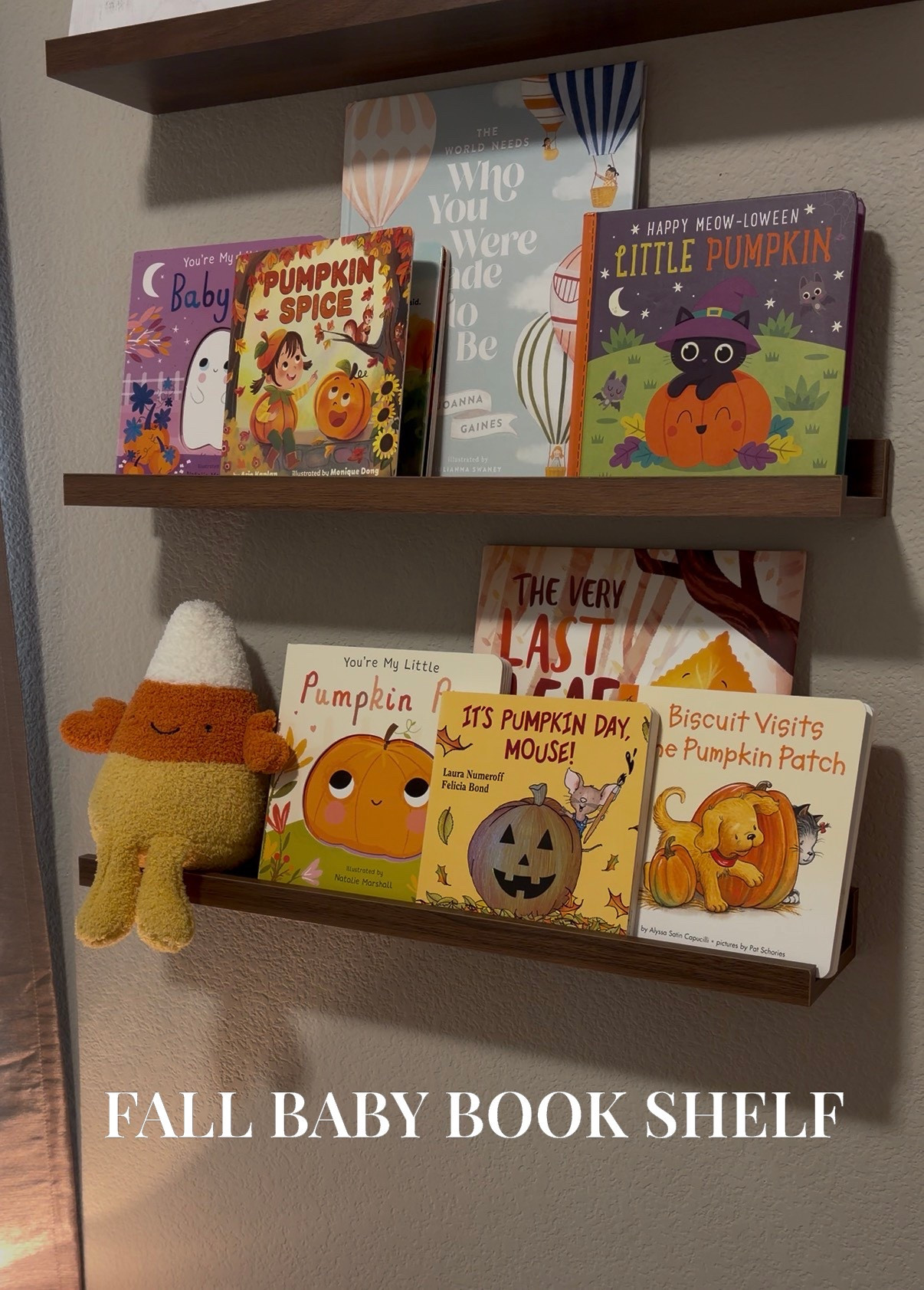 Here’s all the books we have on our shelf + some more that I hope to get some day!! 🤍🍂

#LTKHalloween #LTKSeasonal #LTKFallSale