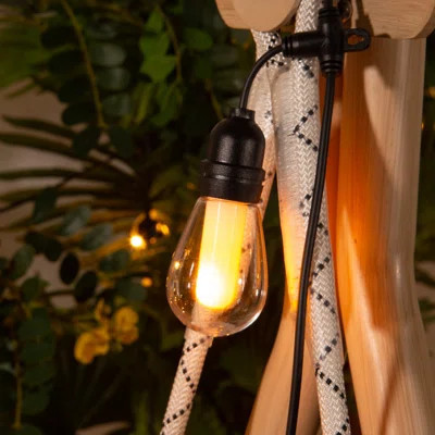 24' Outdoor 12 - Bulb String Light (End to End Connectable) | Wayfair North America