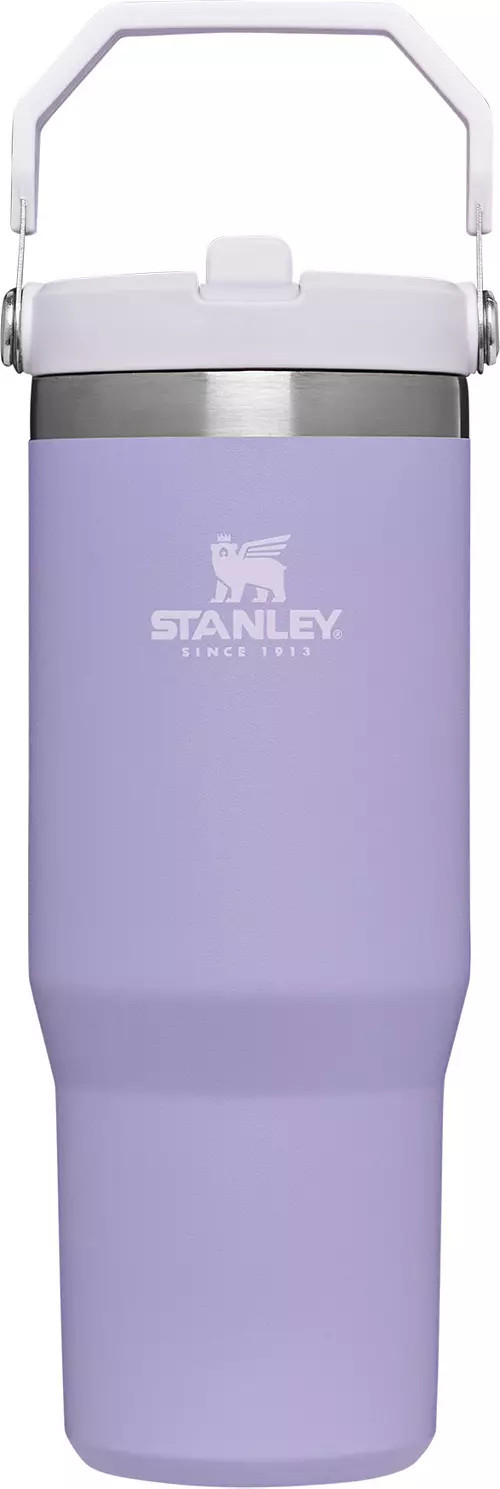 Stanley 30 Oz. IceFlow Tumbler with Flip Straw | Dick's Sporting Goods
