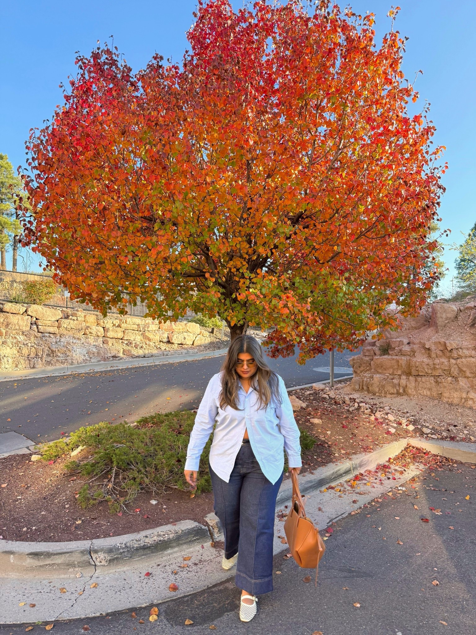 Fall Fit 🍂

Bag: Cyme Polene