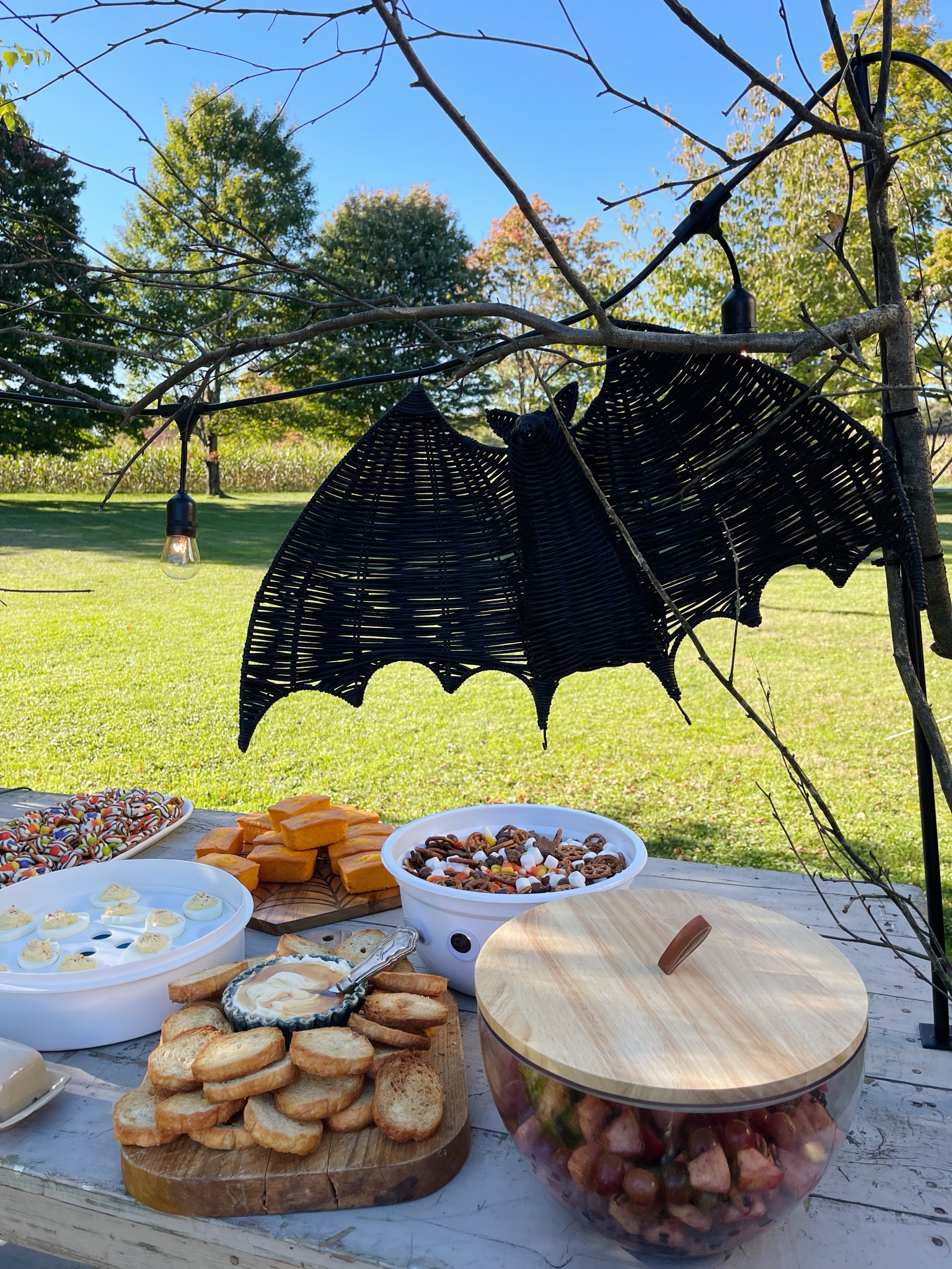 Wicker bat Halloween decor! 🦇 

#LTKHalloween