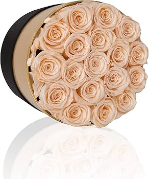 Perfectione Roses Forever Real Roses in a Box Preserved Rose That Last Up to 3 Years, Long-Lastin... | Amazon (US)