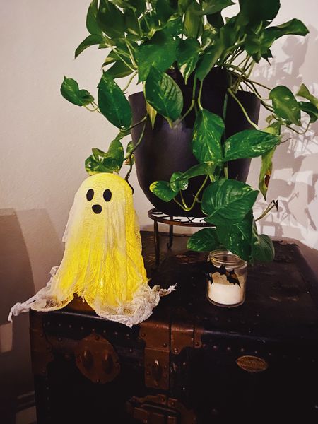 Spooky cheesecloth ghosts! So easy to make. Check out the items you’ll need here!

#LTKSeasonal #LTKHalloween
