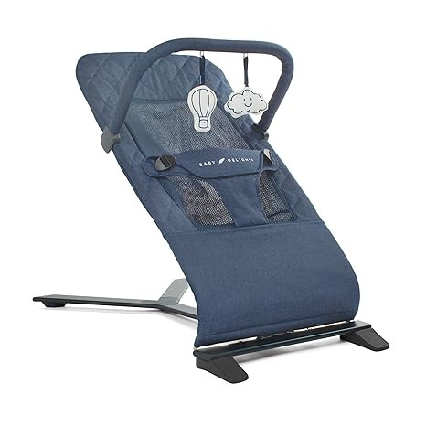 Baby Delight Alpine Deluxe Portable Bouncer, Infant, 0 – 6 Months, Quilted Indigo | Amazon (US)