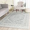 Safavieh Adirondack Collection ADR108T Slate and Ivory Oriental Vintage Medallion Area Rug (8' x ... | Amazon (US)