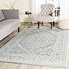 Safavieh Adirondack Collection ADR108T Slate and Ivory Oriental Vintage Medallion Area Rug (8' x ... | Amazon (US)