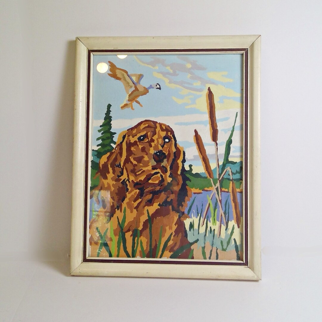 Vintage Paint by Numbers Craftint PBN Setter Dog Framed 1956 - Etsy | Etsy (US)