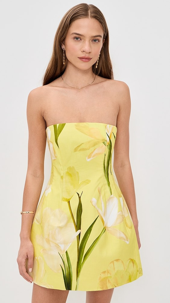 Ines Mini Dress | Shopbop