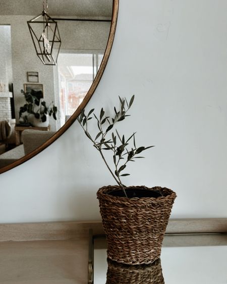 Love this seagrass planter that’s on sale!! It fits the Trader Joe’s olive tree perfectly! 

#LTKunder50 #LTKhome