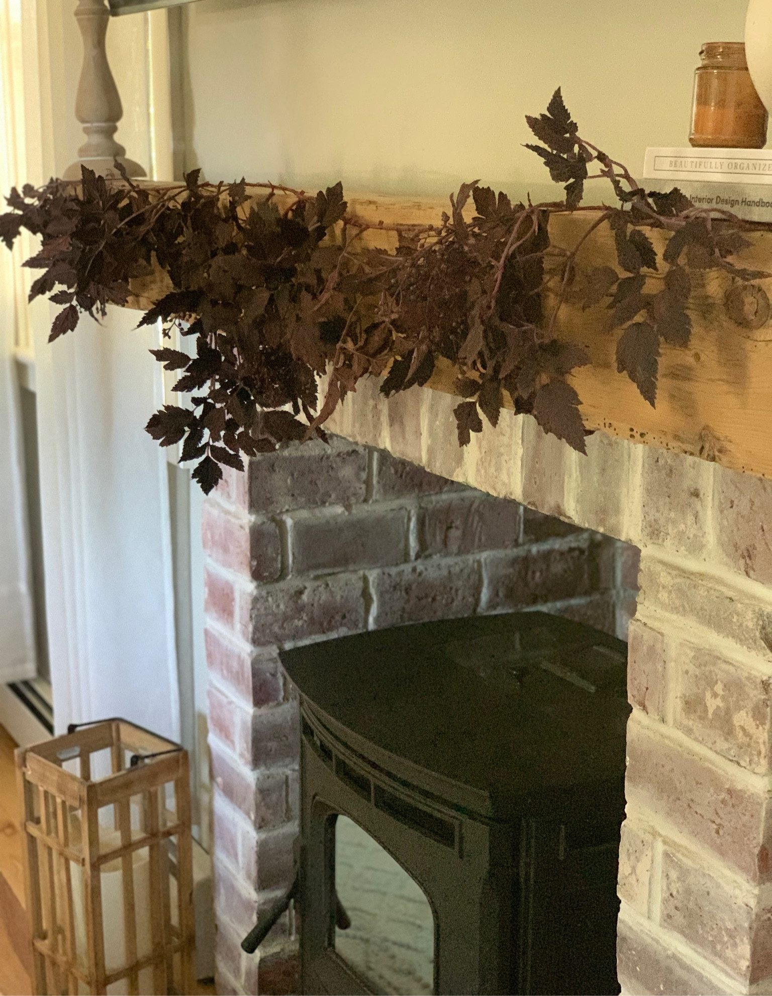 Autumn Mantle

I am so in love with this fall garland for our barn beam mantle

The color is so beautiful and I love how it pairs with the wood tone of the beam 



#LTKHome #LTKStyleTip