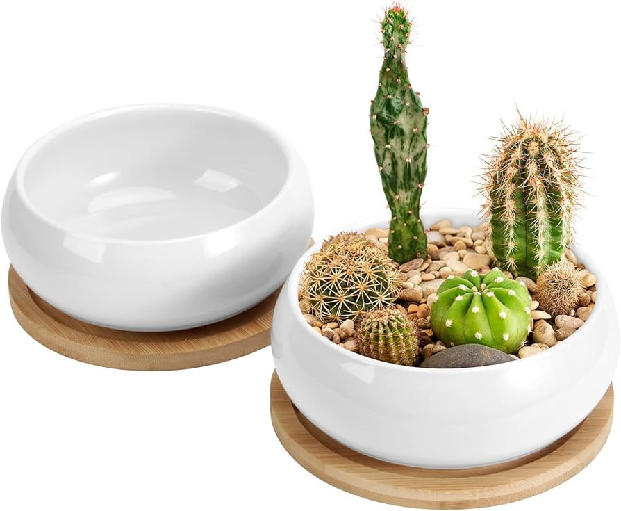 ZOUTOG 2 Pack Succulent Pots, 6 inch Ceramic Planters for Indoor Plants with Bamboo Tray, Pots wi... | Amazon (US)