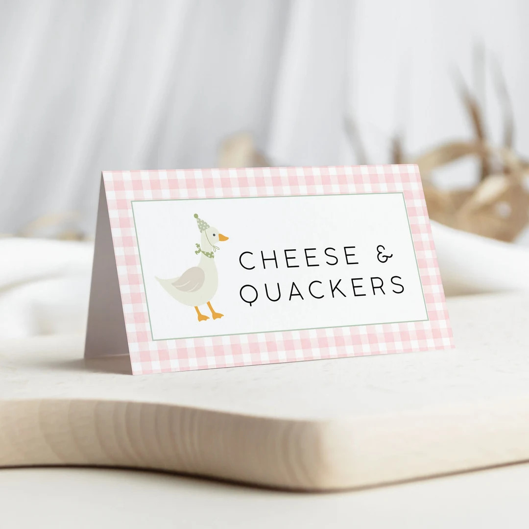 Silly Goose Birthday Food Labels, Goose 1st Birthday Place Card, First Birthday Buffet Labels, On... | Etsy (US)