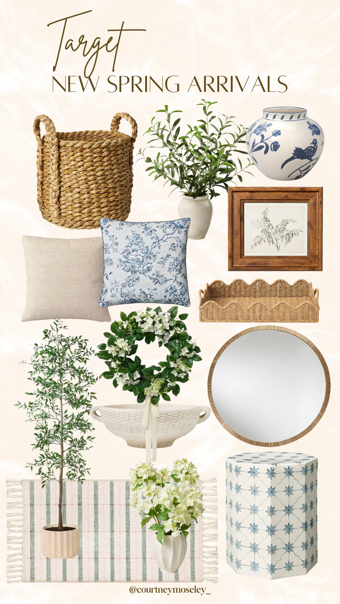 Target's new spring arrivals are sooo cute!  

 #LTKSeasonal #LTKHome